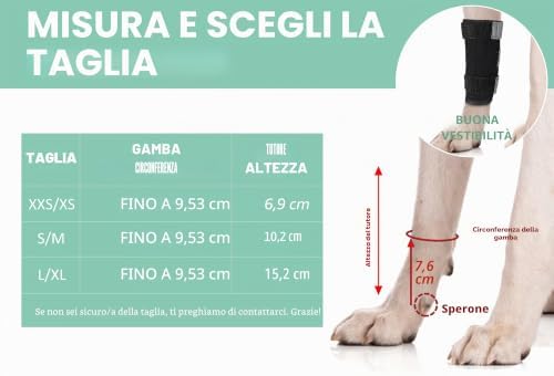 Tutore per Carpo Cane Lyderpet - Supporto Ortopedico Regolabile per Zampa Anteriore, Artrite e Instabilità - immagine 7
