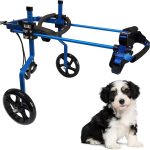 Carrozzina per Cani di Piccola Taglia KAJILE – Sedia a Rotelle Regolabile a 2 Ruote per Zampe Posteriori, 4-11 kg