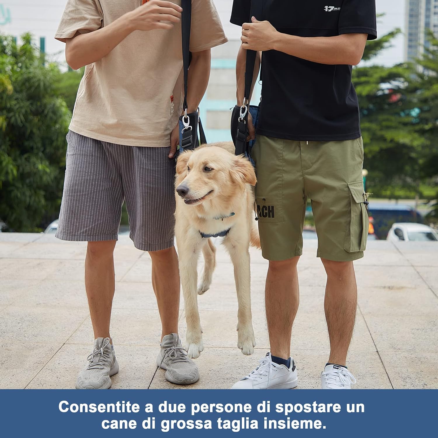 Imbracatura di sollevamento per cani COODEO Dog Carry Sling - immagine 5